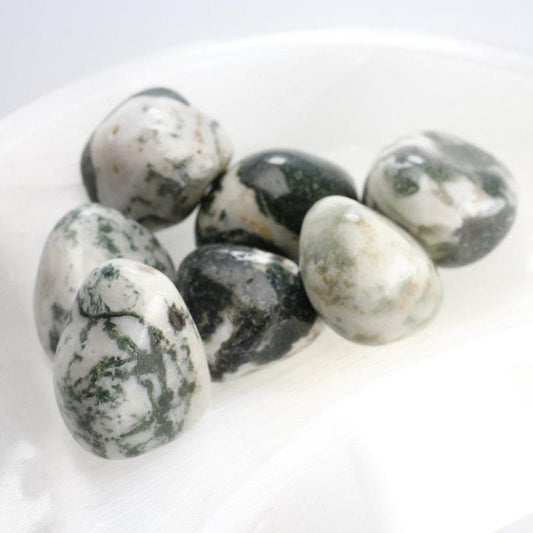 Tree Agate Tumble-Nature's Treasures